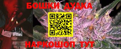 индика Пыть-Ях